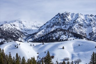 Snow-covered mountains with forests