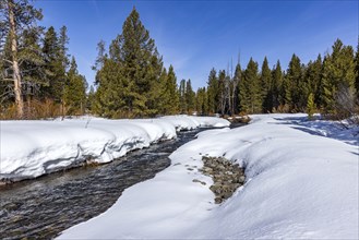Ice and snow along Big Wood River in winter
