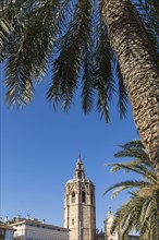 Bell tower of Valencia Cathedral and palm trees