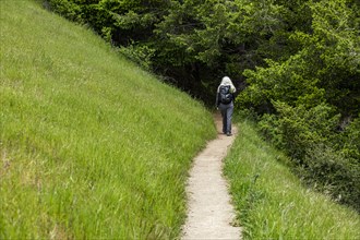 Senior woman hiking Dipsea Trail