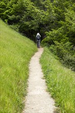Senior woman hiking Dipsea Trail