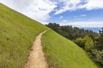 Hiking trail from Stinson beach crossing hill