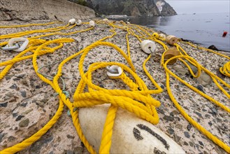 Nautical rope and buoys on sea coast