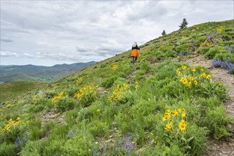 Senior blonde woman hiking on Carbonate Mountain trail