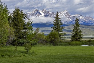 Scenic landscape with trees and Sawtooth Mountains