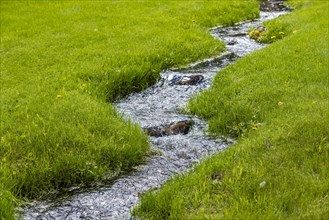 Stream flowing through green meadow