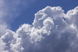 Full frame of puffy white clouds in blue sky