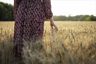 Rear view of woman touching cereal plants while standing in field at sunset