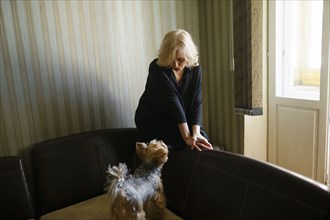 Woman looking at Yorkshire terrier standing on sofa in living room