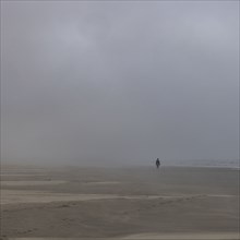 Misty figure walks along beach