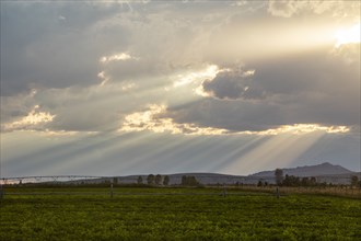 Rays from setting sun shining on fields and hills