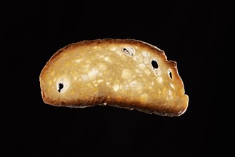 Slice of freshly baked bread against black background