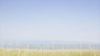 USA, M, Nantucket, View of Nantucket Sound from Madaket with grass in foreground