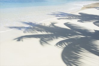 USA, United States Virgin Islands, St. John, Shadows of palm trees on white sand beach