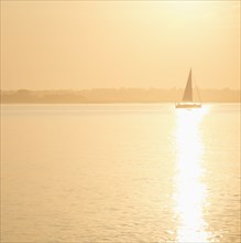 USA, South Carolina, Charleston, Sailboat on Charleston Harbor at sunset