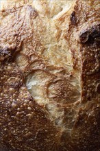 Close-up of sourdough bread