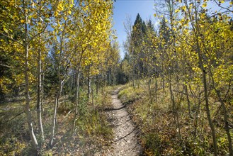 USA, Idaho, Hiking trail in Fall at Sun Valley