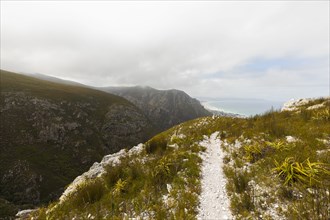 South Africa, Hermanus, Fernkloof Nature Reserve landscape and trail