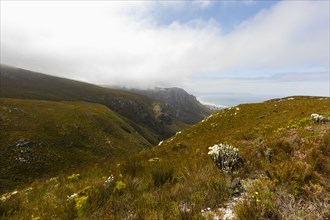 South Africa, Hermanus, Fernkloof Nature Reserve landscape