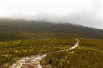 South Africa, Hermanus, Fernkloof Nature Reserve landscape and trail