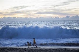Mexico, Baja, Pescadero, Silhouette of boy and dog on beach at dusk
