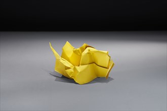Studio shot of yellow crumpled paper