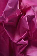 Close-up of pink crumpled paper