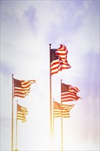 American flags blowing on wind against sky at sunset