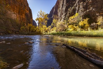 Calm Virgin River and rock formations in Zion National Park in autumn