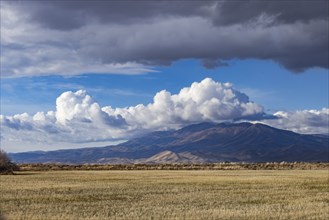 Puffy clouds over mountains with grassy field in foreground