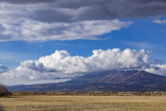 Puffy clouds over mountains with grassy field in foreground