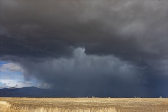 Dramatic storm clouds over field