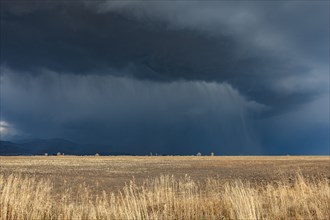 Dark storm clouds over field