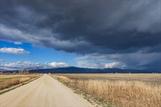 Dark storm clouds over dirt road crossing field