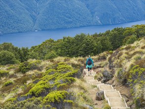 Rear view of female hike descending steps in Fiordland National Park