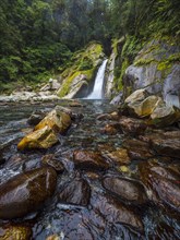 Waterfall and creek in forest in Fiordland National Park