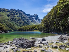 Woman standing on lakeshore in Fiordland National Park