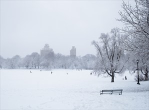 Bench and bare trees covered with snow in Brooklyn Prospect Park, New York, New York, USA