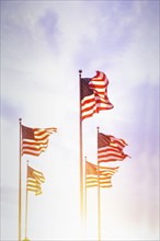 American flags blowing on wind against sky at sunset, Jersey City, New Jersey, USA