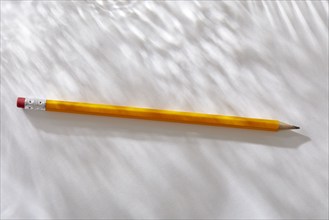 Overhead view of pencil on white background, New York, NY, USA