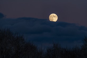 Full moon rising over clouds, Bellevue, Idaho, USA