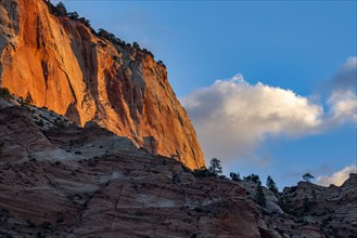 Red rocks in Bryce Canyon National Park in sunlight, , Utah, USA