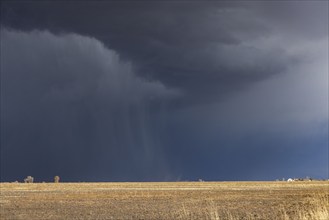 Stormy skies over farm country, Fairfield, Idaho, USA