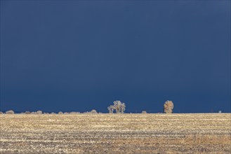 Stormy skies over farm country, Fairfield, Idaho, USA