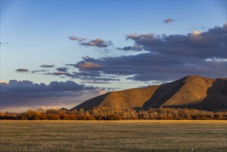 Field and hills at sunset, Bellevue, Idaho, USA