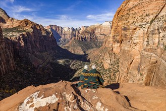 Rear view of couple wrapped in blanket looking at Zion Canyon from Zion Overlook, , Utah, USA