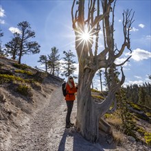 Portrait of woman on footpath at bare tree in Bryce Canyon National Park, , Utah, USA