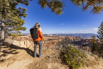 Rear view of woman looking at view in Bryce Canyon National Park, , Utah, USA