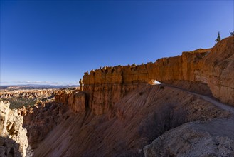 Hoodoo rocks in Bryce Canyon National Park on sunny day, , Utah, USA