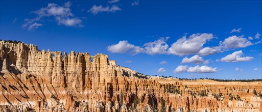 Hoodoo rocks in Bryce Canyon National Park on sunny day, , Utah, USA